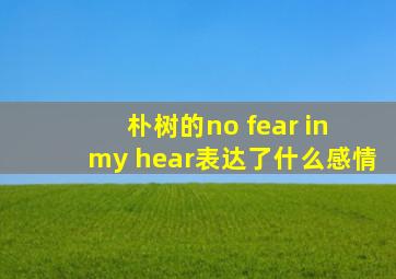 朴树的no fear in my hear表达了什么感情